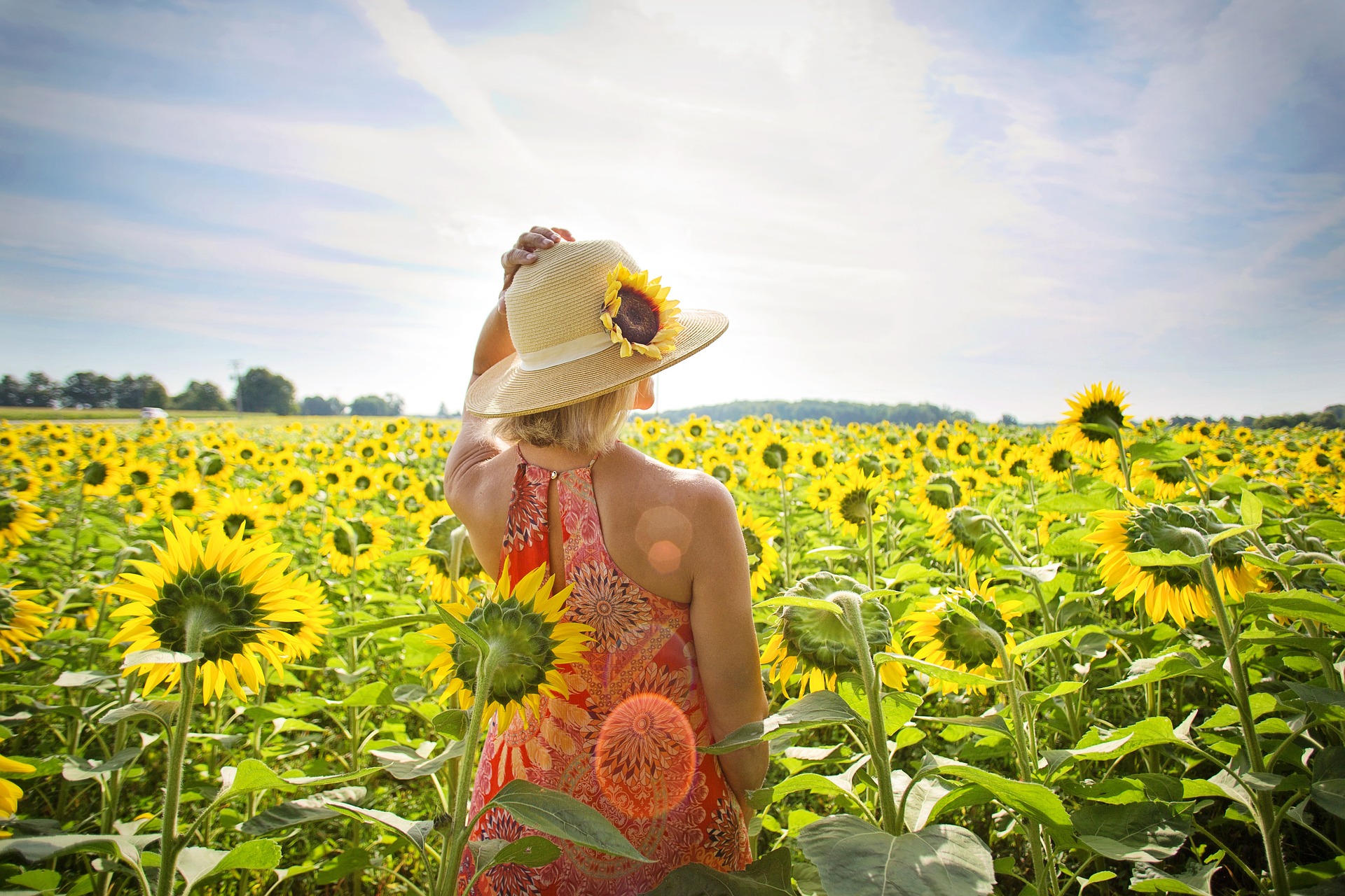 Mulher com vestido laranja e chapéu de palha andando em um campo de girassóis.